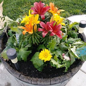 Meet your Posher, Vera